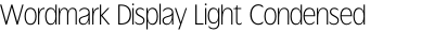 Wordmark Display Light Condensed